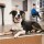 Ferntrainer &raquo;Standard&laquo; PetSafe Hundeerziehung &middot; 900m, ab 3,6kg