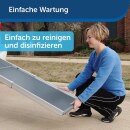 Hunderampe Deluxe »Teleskop« erweiterbar auf 183cm · bis 181kg