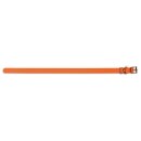 Hundehalsband »sportDOG« ab 20cm Hals · 2,5cm breit, orange