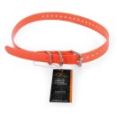 Hunde Halsband »sportDOG« ab 20cm Hals · 1,9cm breit, orange