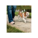 Hundeleinen &raquo;Easy Walk&laquo; f&uuml;r Beagle, Sheltie &middot; max 11kg, schwarz