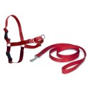 Hunde Geschirr »Easy Walk« inkl. Hundeleine · 38-51cm, rot