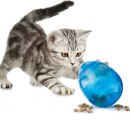 Katzenfutter Spielzeug &raquo;Egg-Cersizer&laquo; F&uuml;tterball &middot; by PetSafe