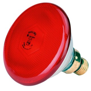 Infrarotbirnen »Philips« für Rotlichtlampe · 100 Watt
