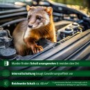 Marderschreck »Gardigo« Marderabwehr Scheune, PKW, Dachboden